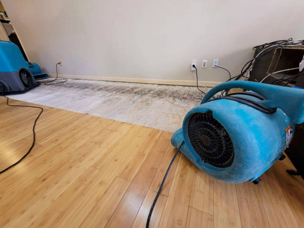 Professional Sewage Cleanup technician working in Auburn, IN